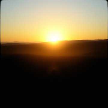 Stepping Into The Light