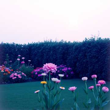 書僮 - 天生注定愛妳 男女版