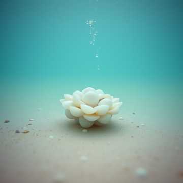 貝みたいに沈んでる