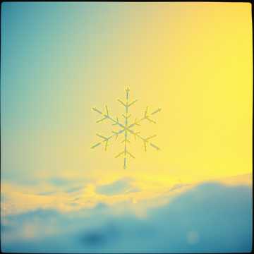 Сніжинка падає в долоні