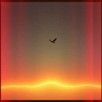 Тень таможенника Российской Федерации