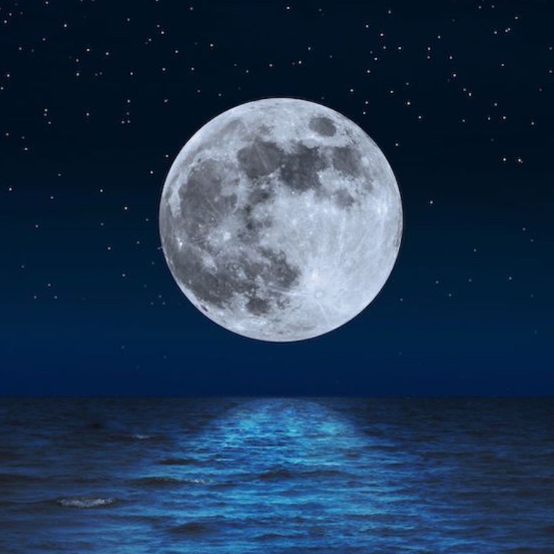 I think of you in the moon