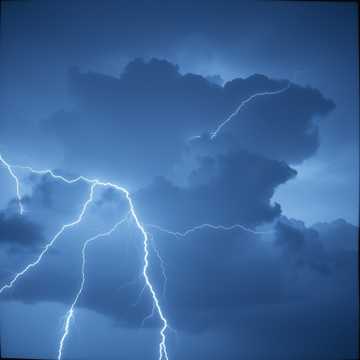 倒せクリーチャー