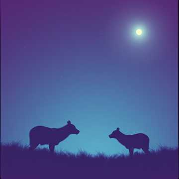 もどかしい二人