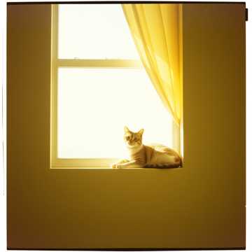 日曜日の散歩道