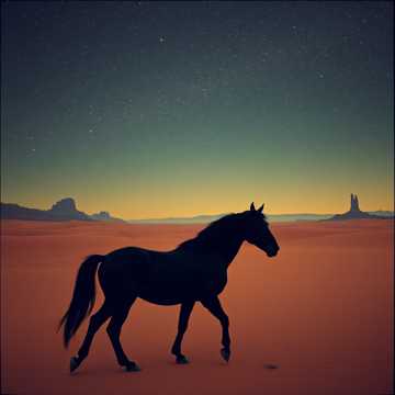 Одинокий всадник в пустоте