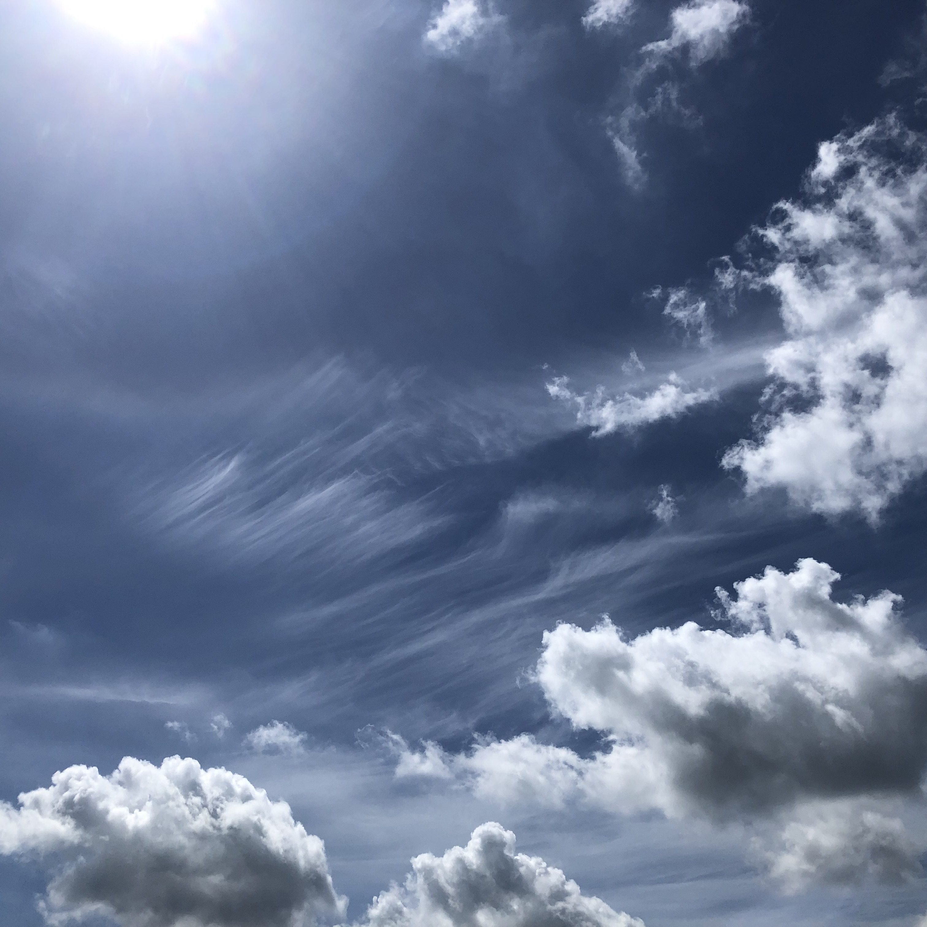 この声が誰かに