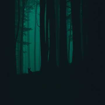 うさぎとたぬきダーク