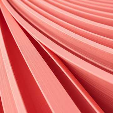 一年半とこれから