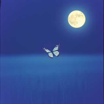 靈魂相遇只是經過