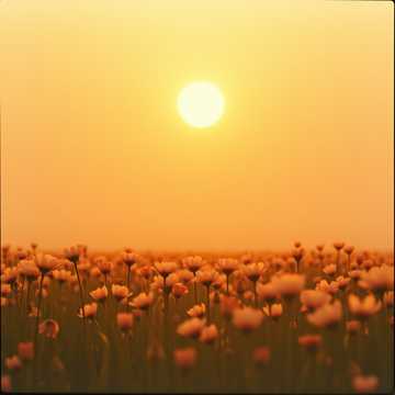 Тримаємось