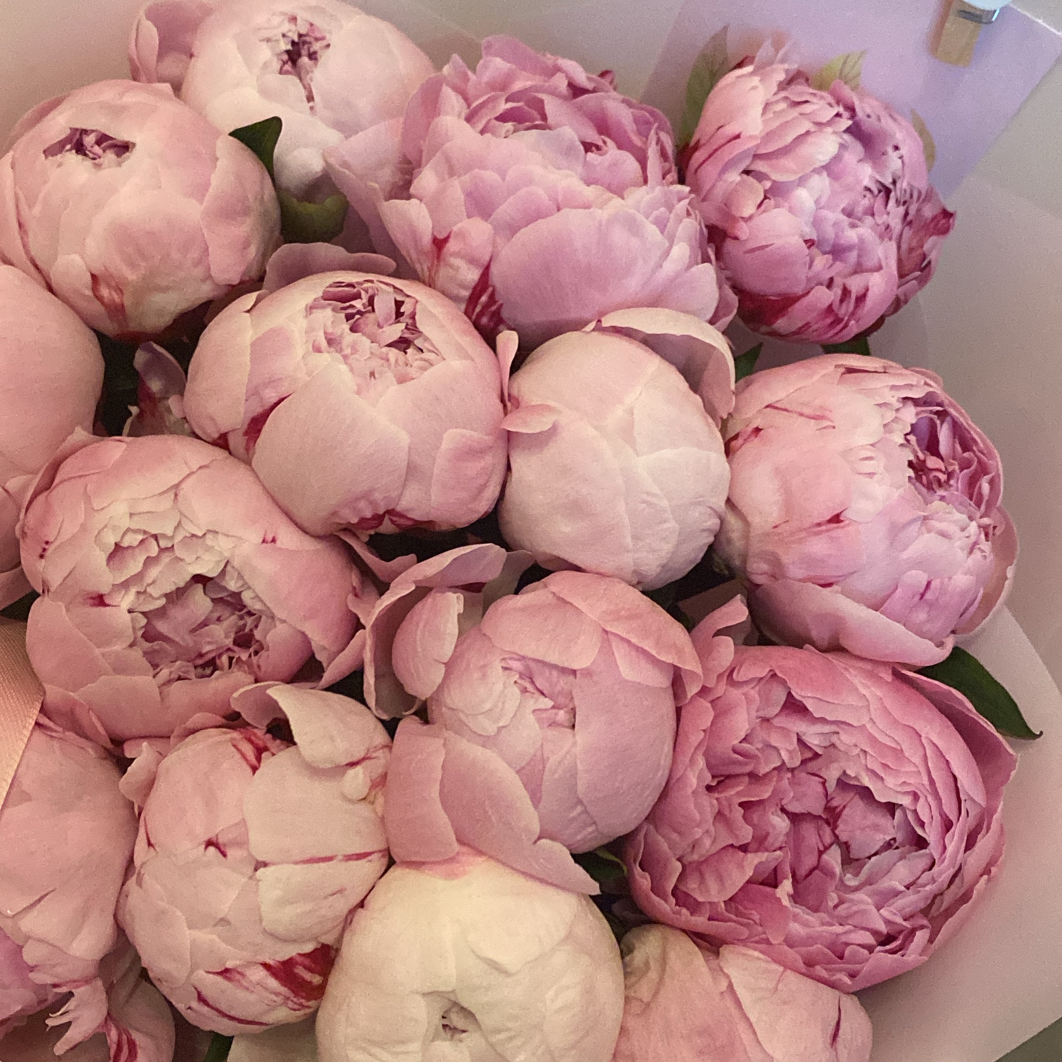 Start of my best life