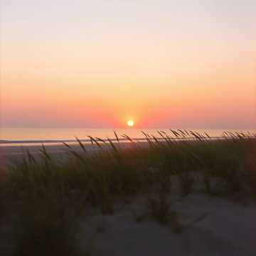 終わらない夏の幻