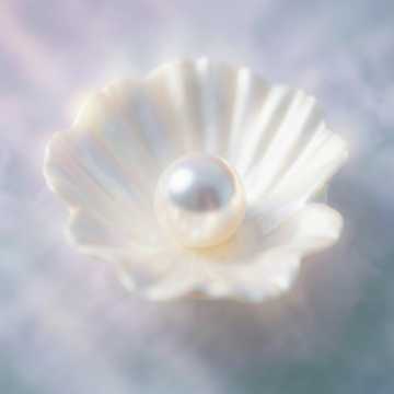 Жемчужина внутри