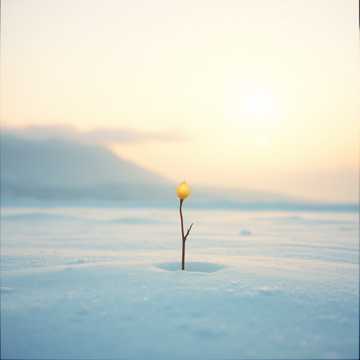 雪解けを待ち侘びて