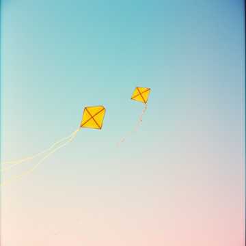Kites in the Sky