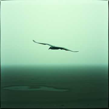 パチンカスの旅路