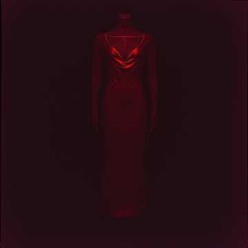 Venus In The Shadows