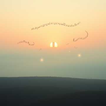 Любви не скроешься