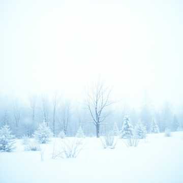 Зимова казка