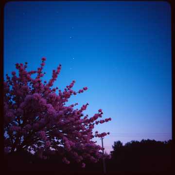 大好きなあの子に