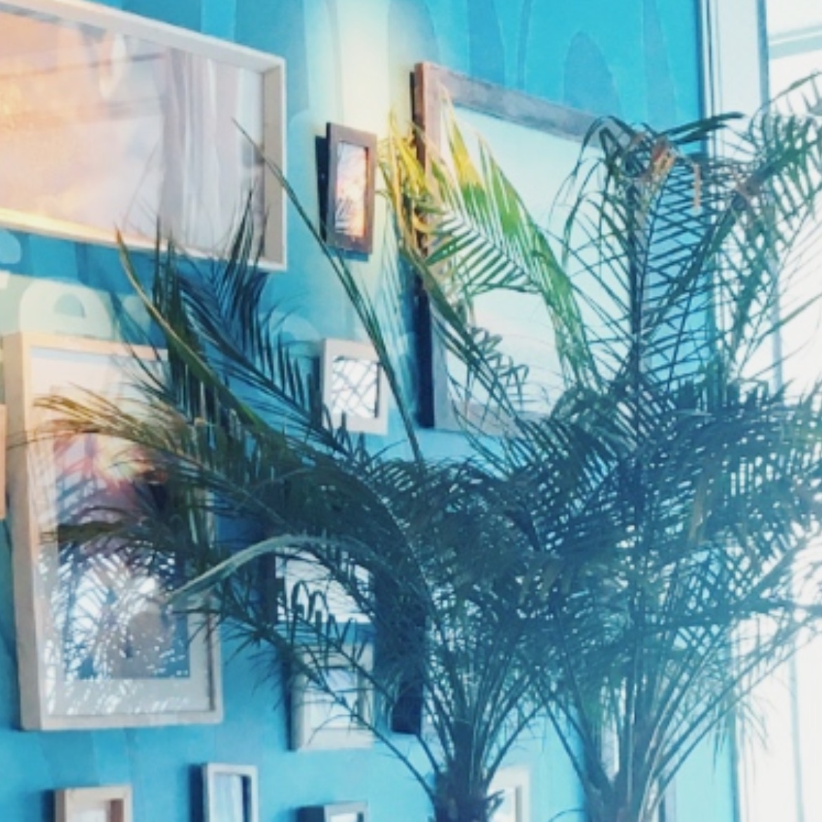 優しい手のぬくもり