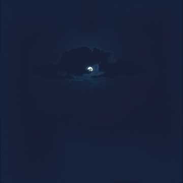 Отблеск лунной ночи