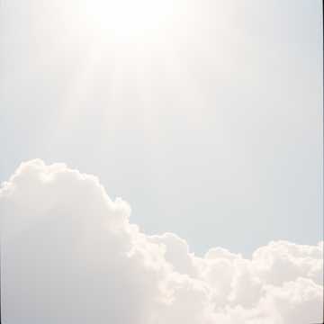 Нежные глаза Бога