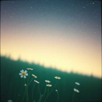 初めて会った君に恋をした