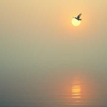 Mude a Minha História