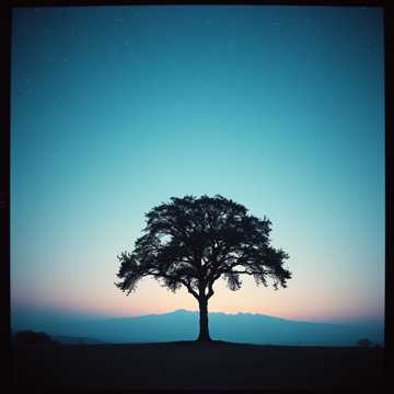 يا حبّي ما حان تفهمني؟