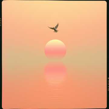 Muda a Minha História