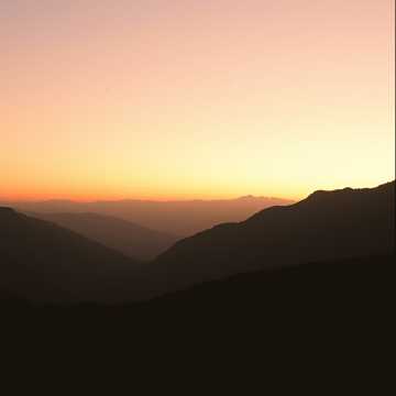 37 лет вместе