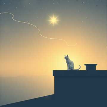 100万回生きたねこ