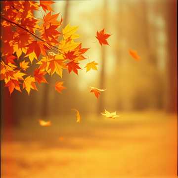 Осіння мелодія