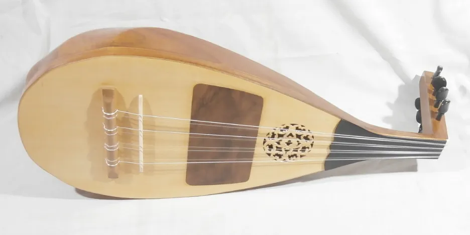 Cobza, a multi-stringed instrument derived from the folk Lute family