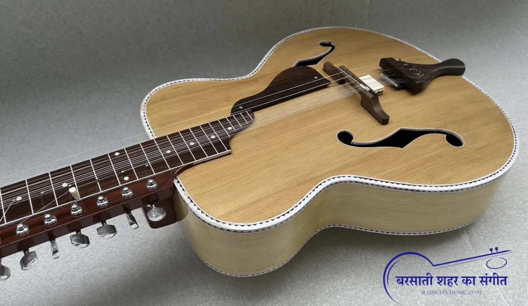 Mohan Veena: Unveiling the Melodic Essence of an Indian Classical Music Instrument