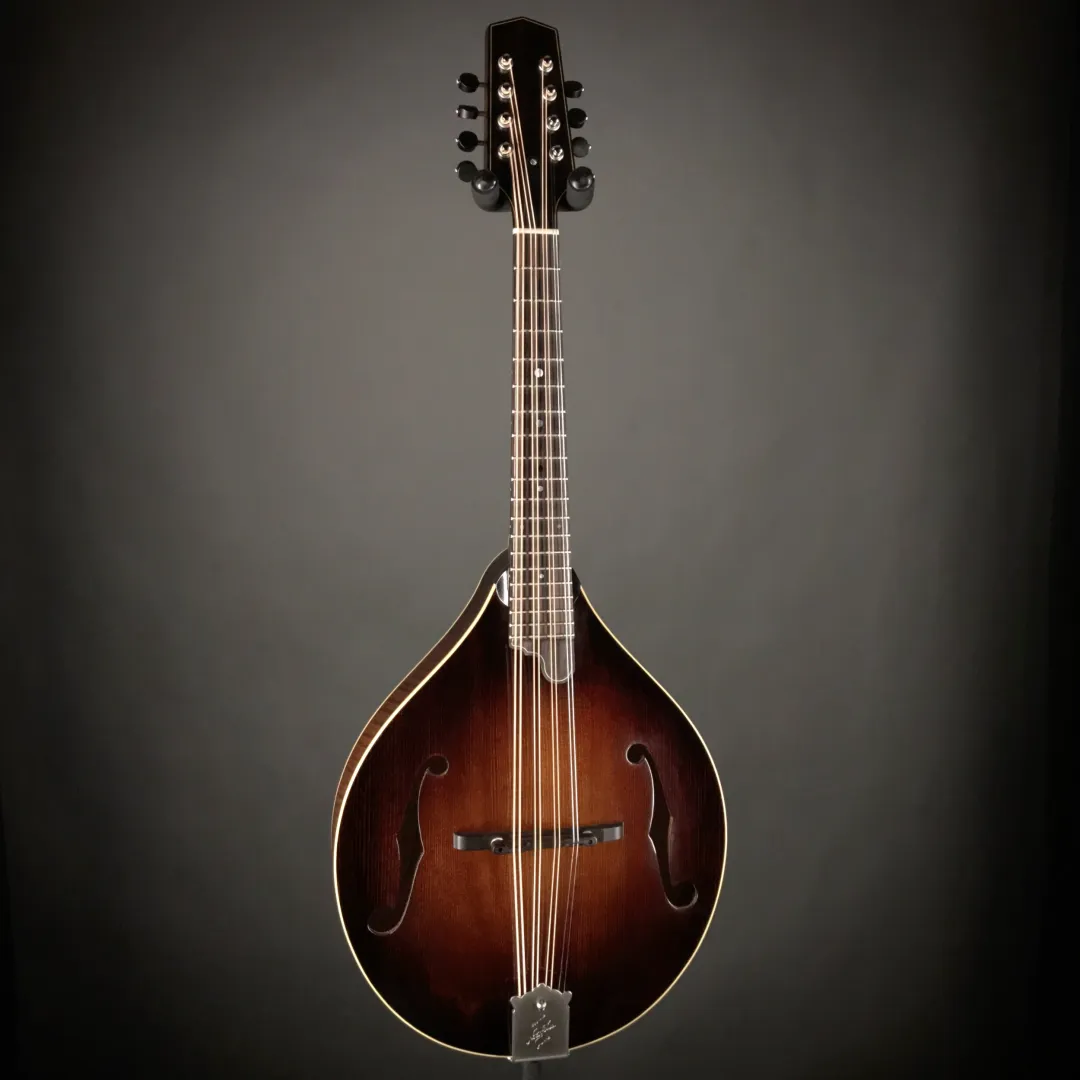 Mandola - Plucked musical instrument Mandolin's ancestor Mandola