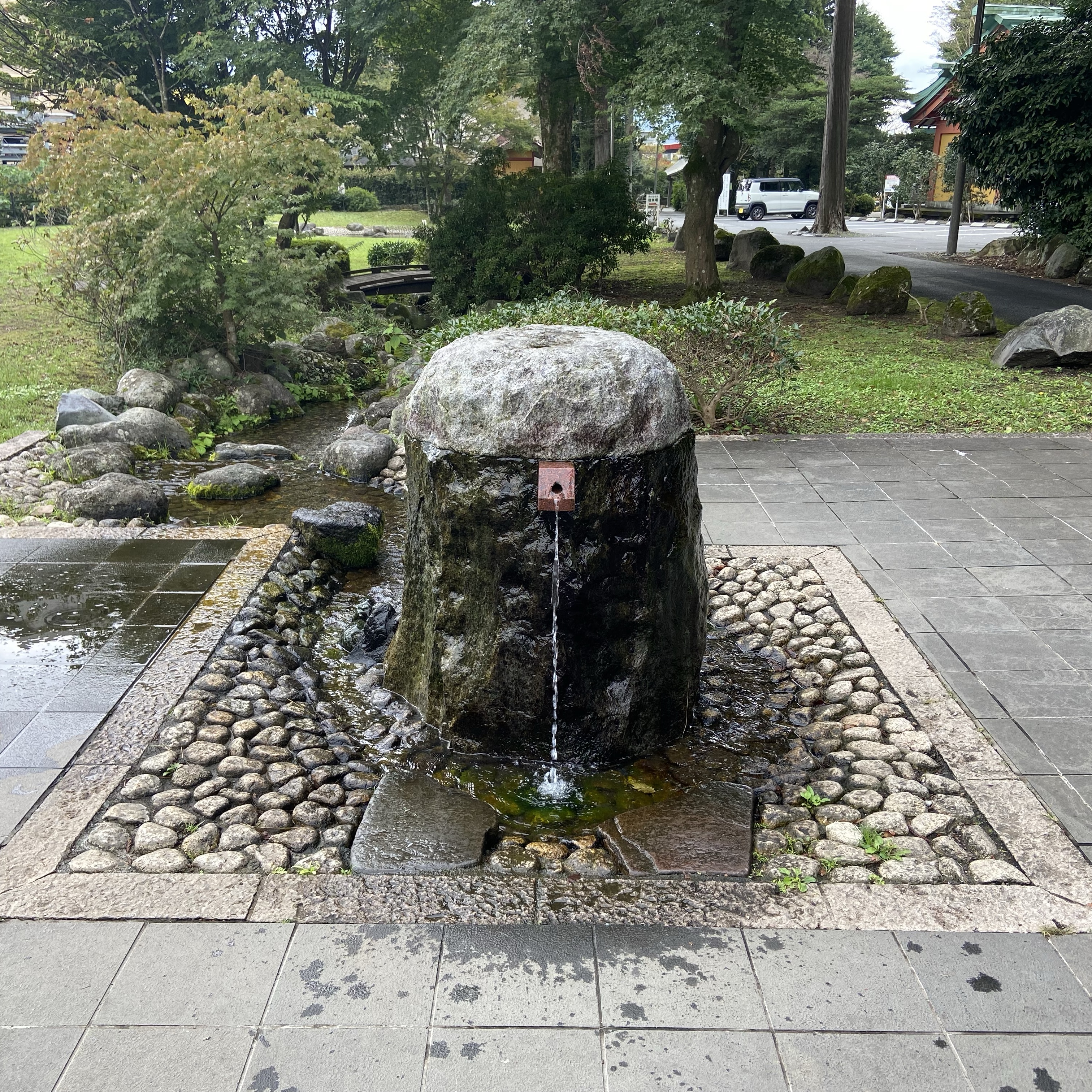 ペットとの日常