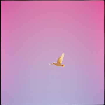 Для самого лучшего брата