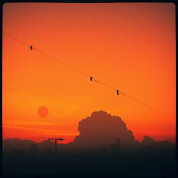 運命のイタズラ