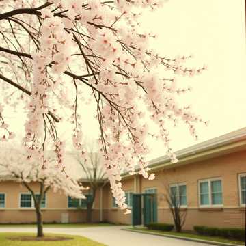 ありがとうの時間