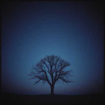 ليش محد يبيني؟