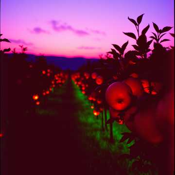 Ґадзові робочі