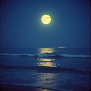 حبك في قلبي