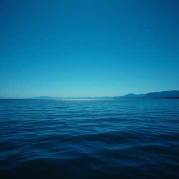 В Дашенькиных глазах