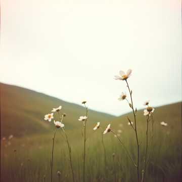 教えてください