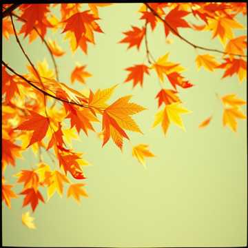 Осіння мелодія