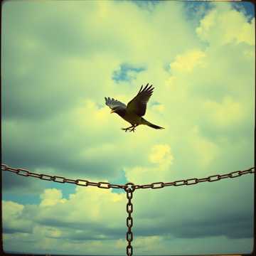 雲の物語、空の詩