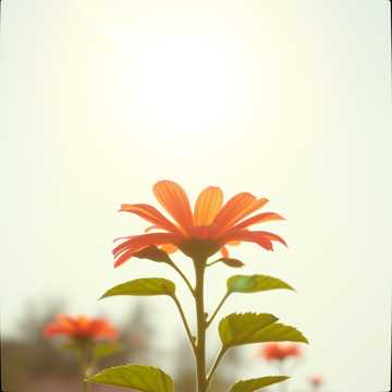 С Днём Рождения Назым